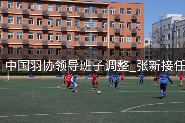 中国羽协领导班子调整 张新接任协会主席一职